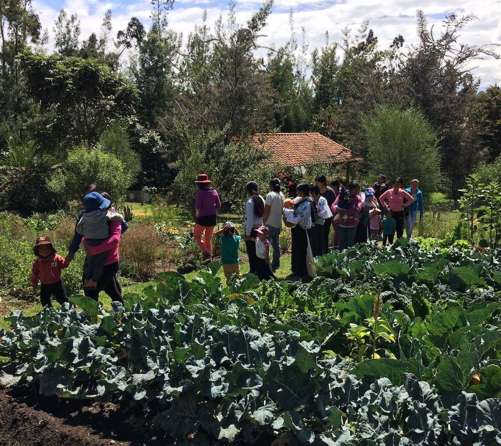 En el huerto - Fundacion AMI-min